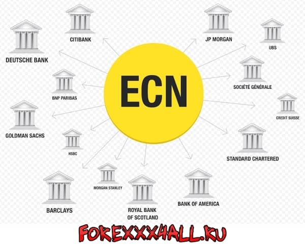 Рисунок 3. Самые высокие места рейтинга принадлежат банкам-брокерам, работающим на форекс с лицензиями и предлагающим ECN-счета.